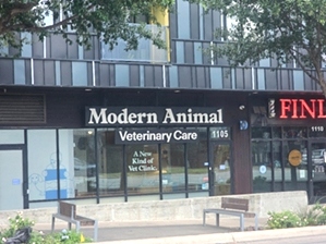 Modern Animal