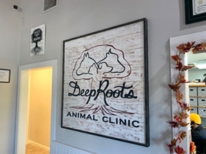 Deep Roots Animal Hospital